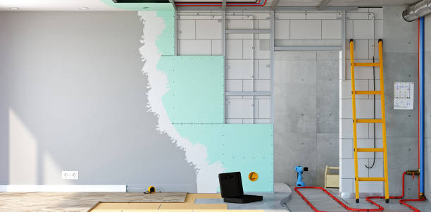 Best Attic Mold Removal  in Warsaw, KY